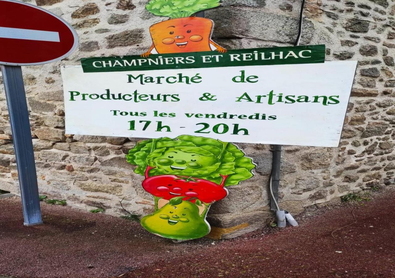 Cap Nature - T4 Et T3 En Perigord Vert - Ideal Pros Et Groupes Max 18P Champniers-et-Reilhac エクステリア 写真