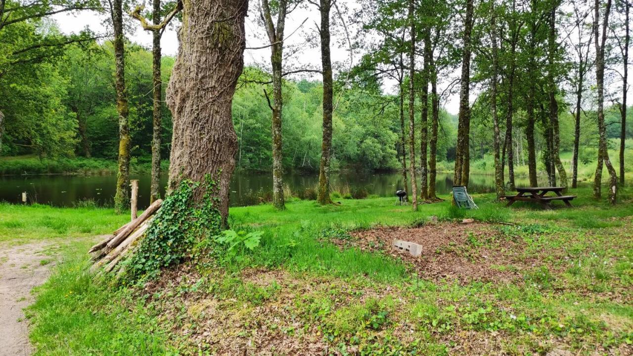 Cap Nature - T4 Et T3 En Perigord Vert - Ideal Pros Et Groupes Max 18P Champniers-et-Reilhac エクステリア 写真